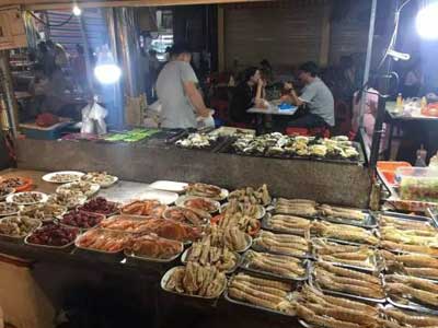 油(yóu)煙淨(jìng)化器