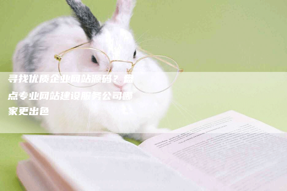 寻找优质企业网站源码？盘点专业网站建设服务公司哪家更出色