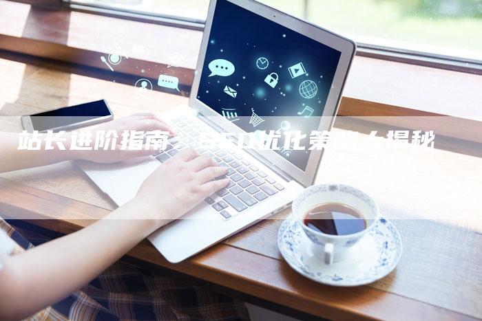 站长进阶指南：SEO优化策略大揭秘