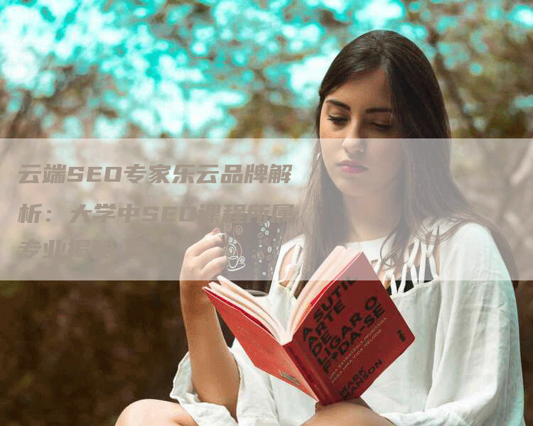云端SEO专家乐云品牌解析：大学中SEO课程所属专业揭秘