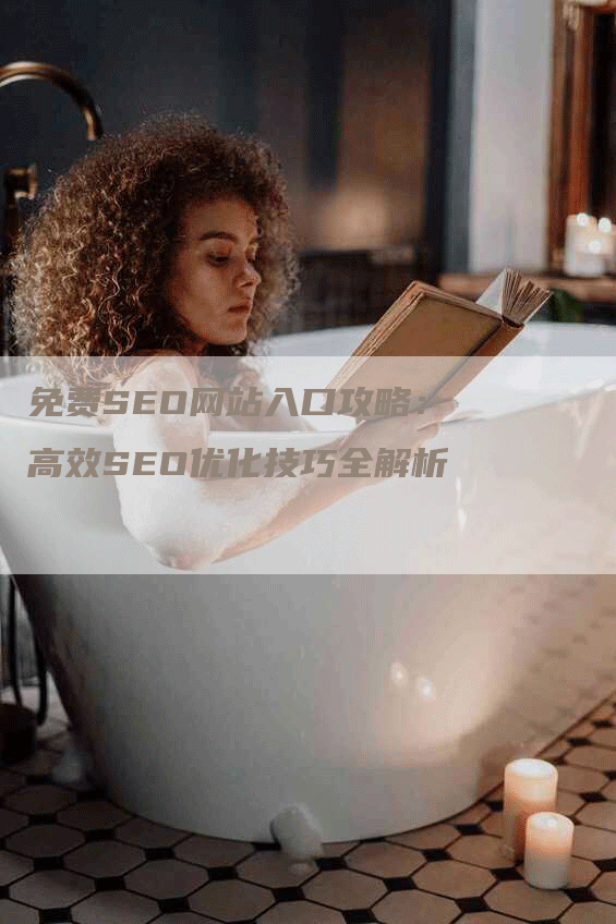 免费SEO网站入口攻略：高效SEO优化技巧全解析