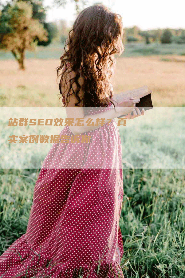 站群SEO效果怎么样？真实案例数据告诉你