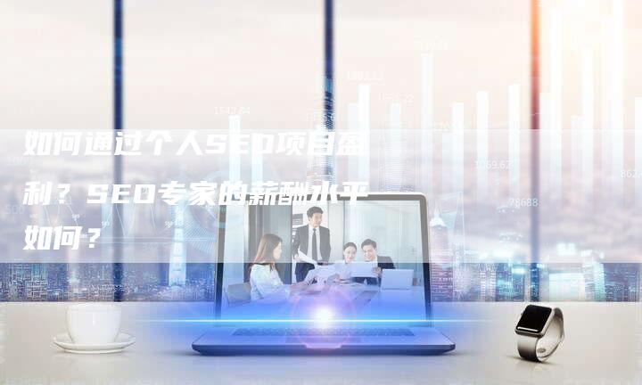 如何通过个人SEO项目盈利？SEO专家的薪酬水平如何？