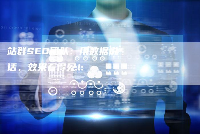 站群SEO团队：用数据说话，效果看得见！