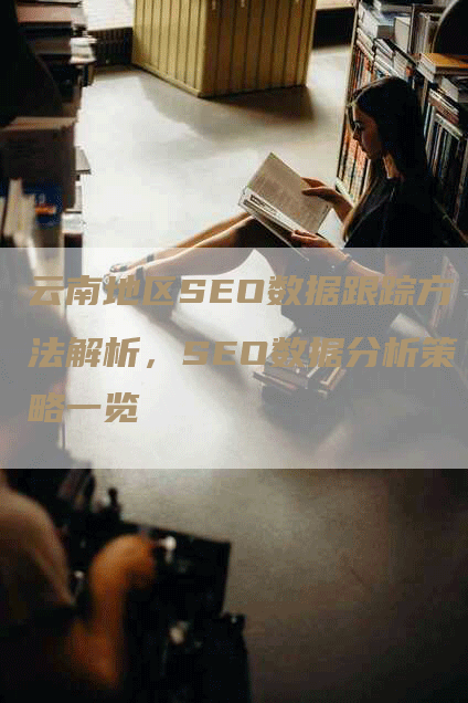 云南地区SEO数据跟踪方法解析，SEO数据分析策略一览