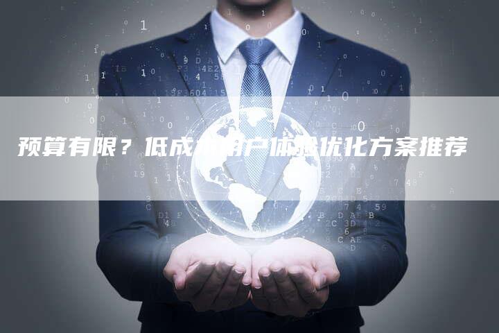 预算有限?低成本用户体验优化方案推荐-帮发锚文本外链网