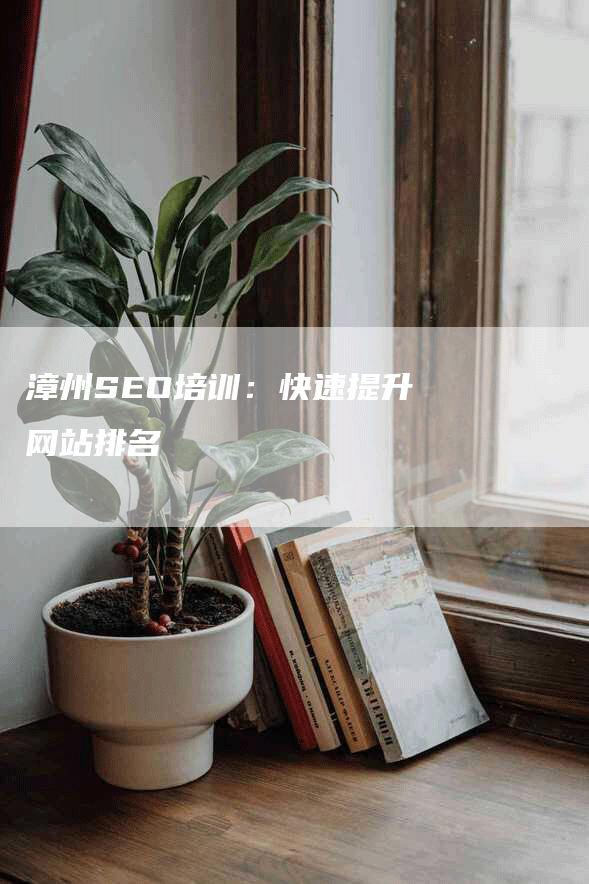 漳州SEO培训：快速提升网站排名