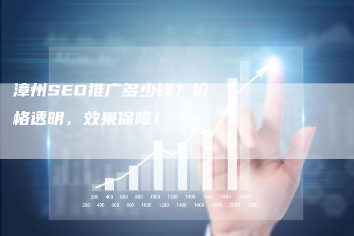 漳州SEO推广多少钱？价格透明，效果保障！
