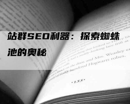 站群SEO利器：探索蜘蛛池的奥秘