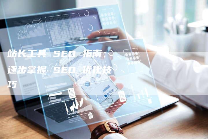 站长工具 SEO 指南：逐步掌握 SEO 优化技巧