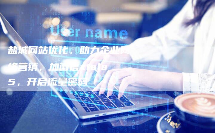 盐城网站优化，助力企业网络营销，加徽信xiala5，开启流量密码