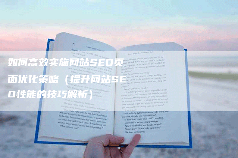 如何高效实施网站SEO页面优化策略（提升网站SEO性能的技巧解析）