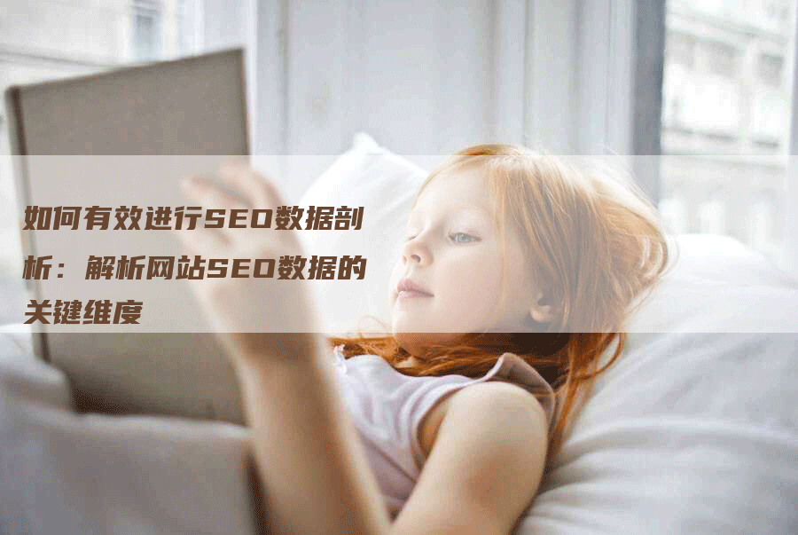 如何有效进行SEO数据剖析：解析网站SEO数据的关键维度