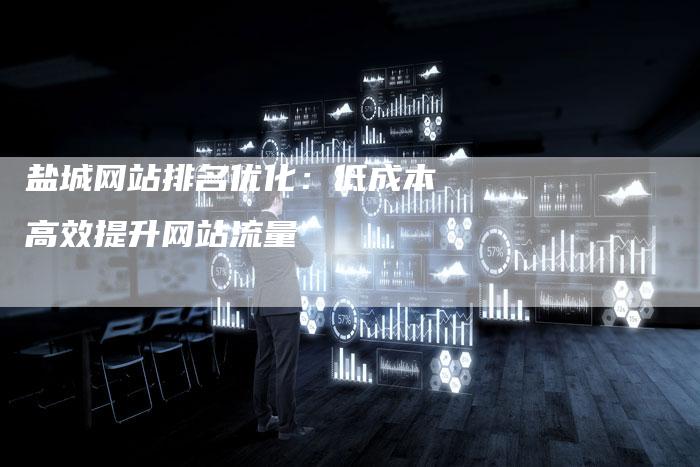 盐城网站排名优化：低成本高效提升网站流量