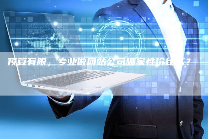预算有限,专业做网站公司哪家性价比高?-帮发锚文本外链网