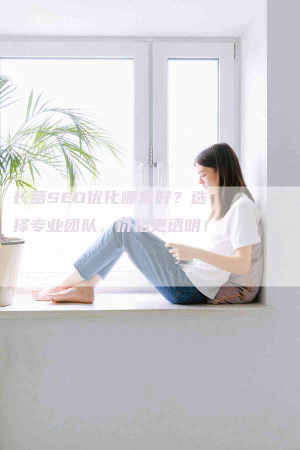 长葛SEO优化哪家好？选择专业团队，价格更透明！