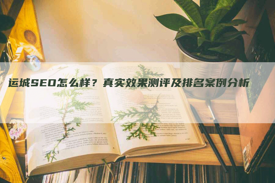 运城SEO怎么样？真实效果测评及排名案例分析