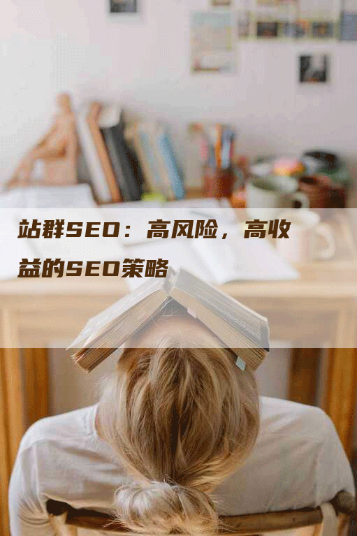 站群SEO：高风险，高收益的SEO策略