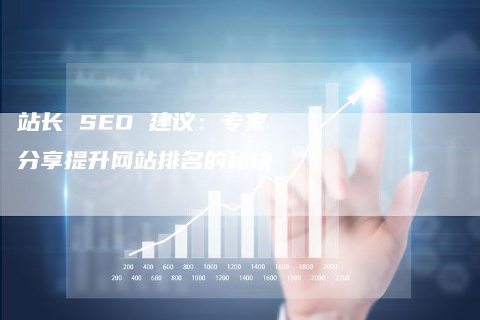 站长 SEO 建议：专家分享提升网站排名的秘诀