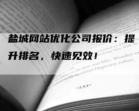 盐城网站优化公司报价：提升排名，快速见效！