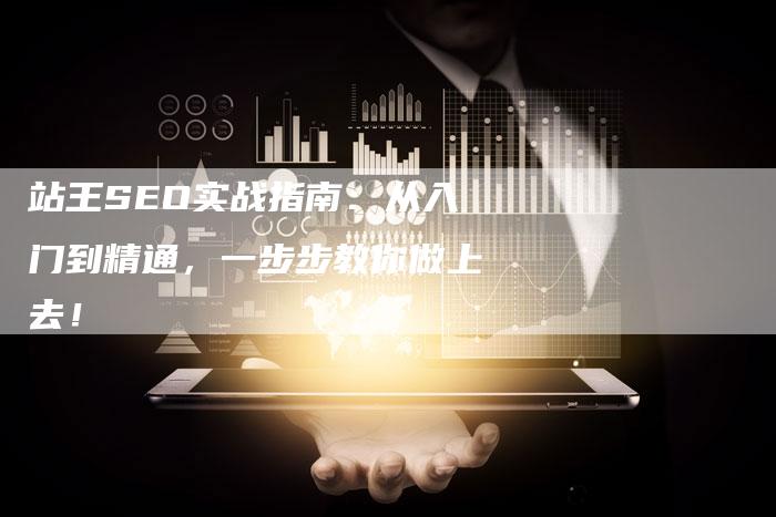 站王SEO实战指南：从入门到精通，一步步教你做上去！