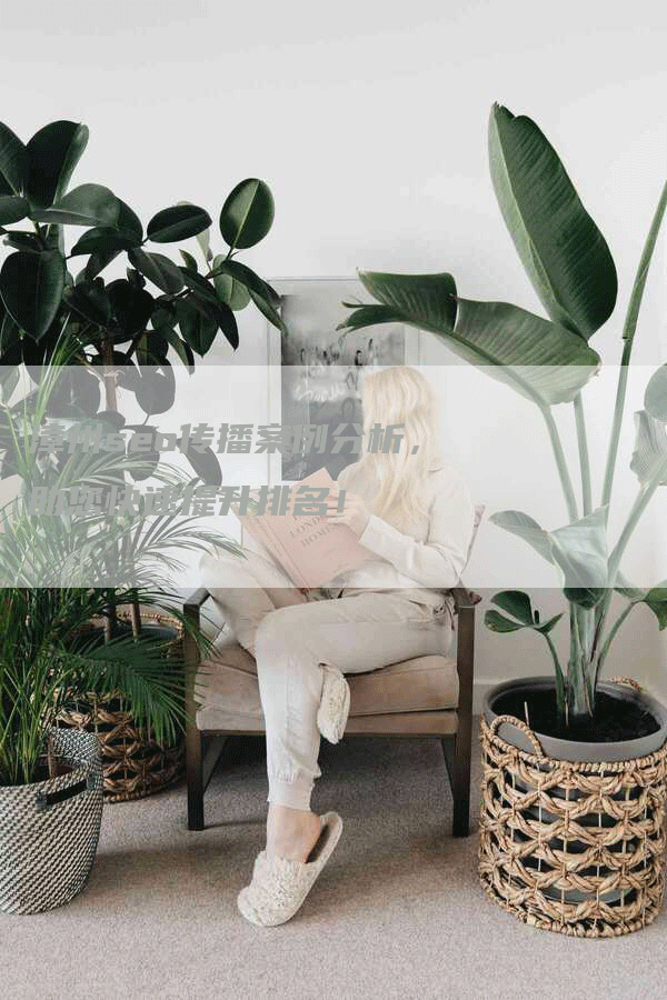 漳州seo传播案例分析，助您快速提升排名！