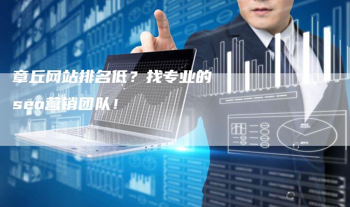 章丘网站排名低？找专业的seo营销团队！