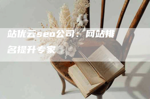 站优云seo公司：网站排名提升专家