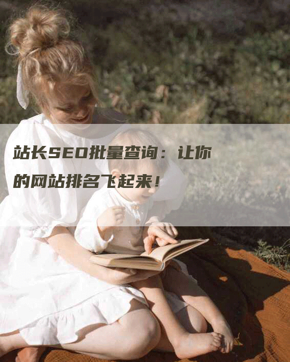 站长SEO批量查询：让你的网站排名飞起来！
