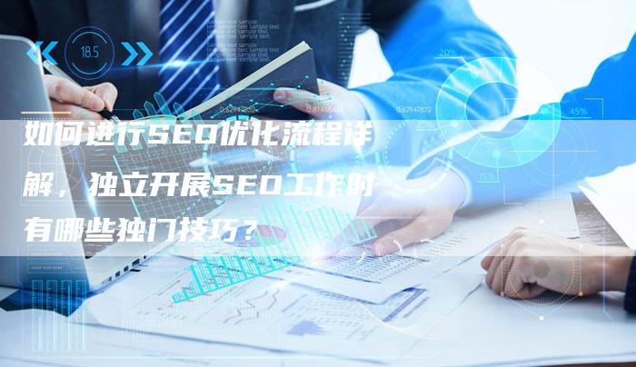 如何进行SEO优化流程详解，独立开展SEO工作时有哪些独门技巧？