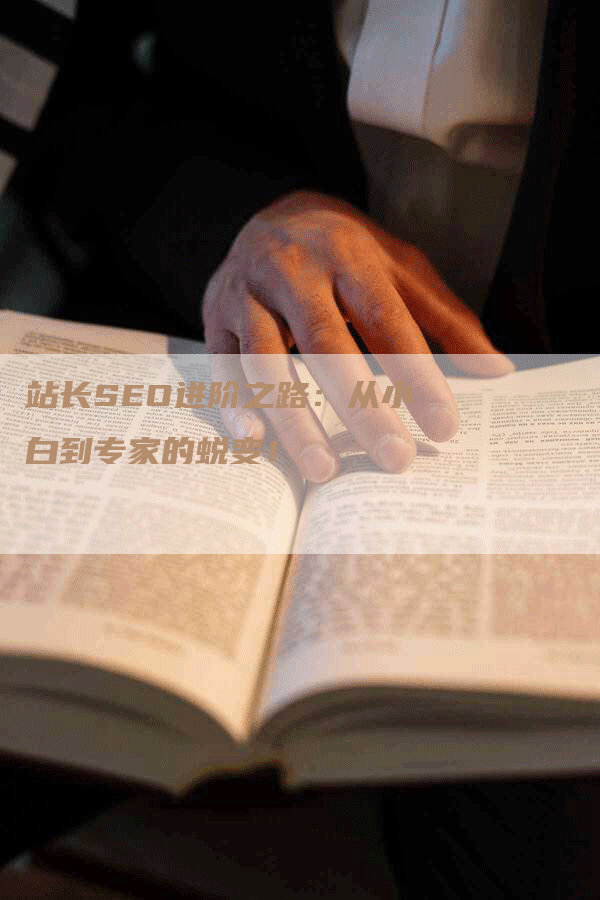 站长SEO进阶之路：从小白到专家的蜕变！