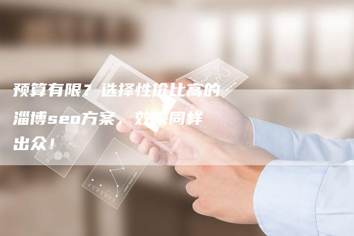 预算有限?选择性价比高的淄博seo方案,效果同样出众!-帮发锚文本外链网