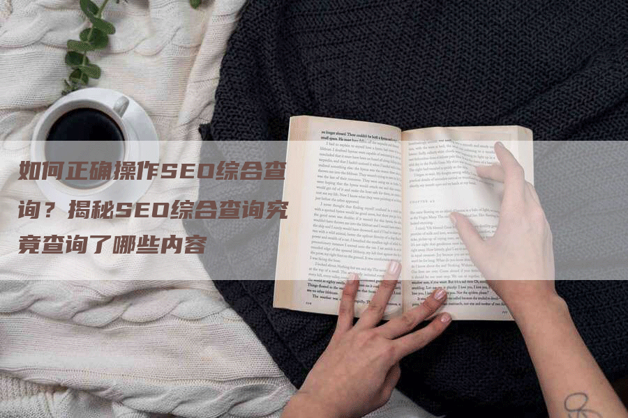如何正确操作SEO综合查询？揭秘SEO综合查询究竟查询了哪些内容