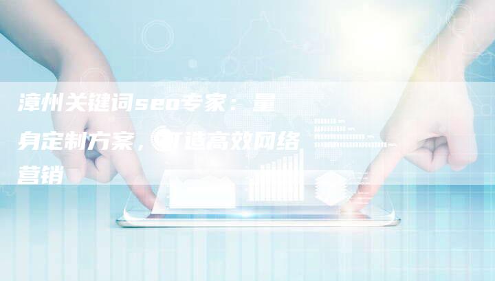 漳州关键词seo专家：量身定制方案，打造高效网络营销