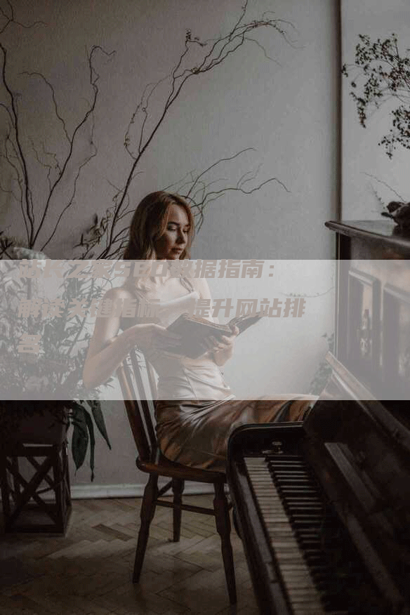 站长之家SEO数据指南：解读关键指标，提升网站排名
