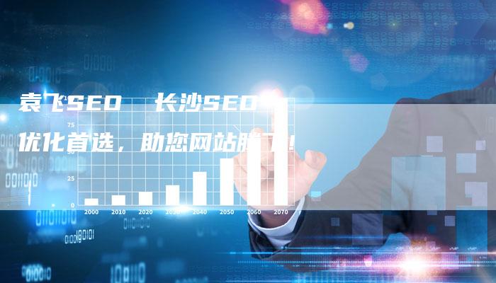 袁飞SEO  长沙SEO优化首选，助您网站腾飞！