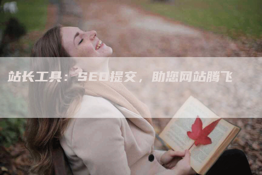 站长工具：SEO提交，助您网站腾飞