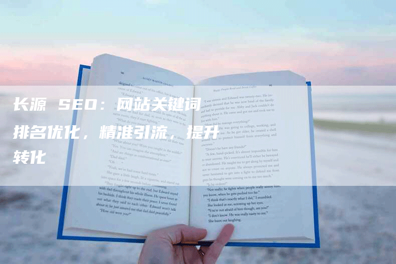 长源 SEO：网站关键词排名优化，精准引流，提升转化