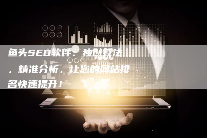 鱼头SEO软件：独创算法，精准分析，让您的网站排名快速提升！