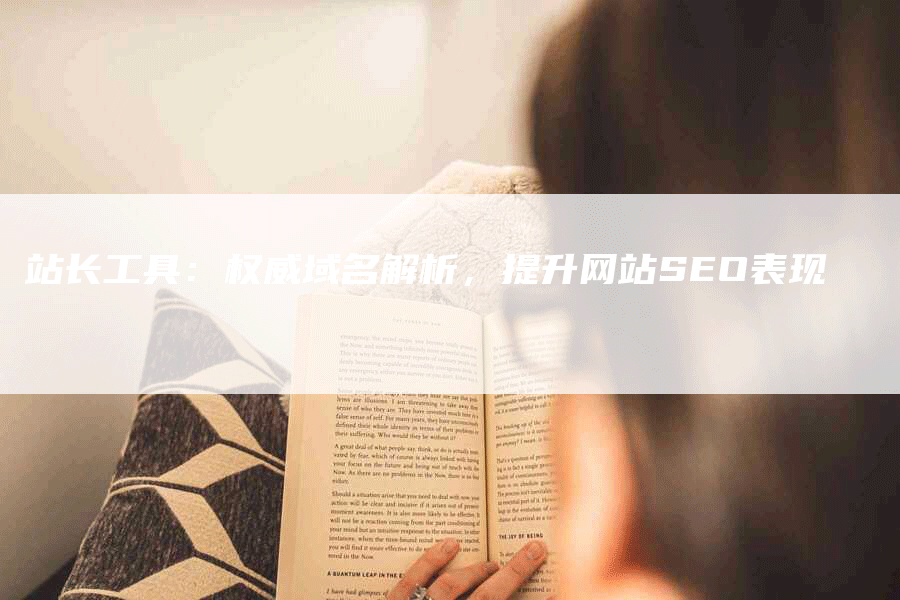 站长工具：权威域名解析，提升网站SEO表现