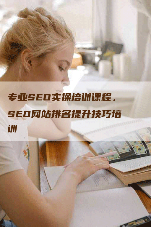 专业SEO实操培训课程，SEO网站排名提升技巧培训