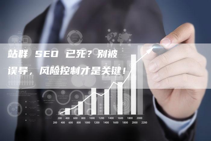 站群 SEO 已死？别被误导，风险控制才是关键！